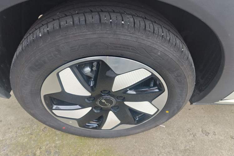 Used BYD Dolphin 2025 420km Free Edition Right Rear Wheel Hub