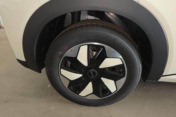 Used BYD Dolphin 2025 420km Free Edition Right Rear Wheel Hub