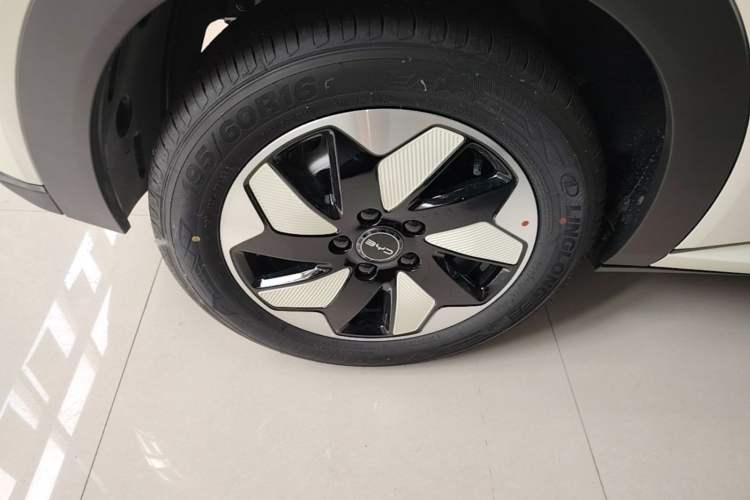 Used BYD Dolphin 2025 420km Free Edition Right Rear Wheel Hub