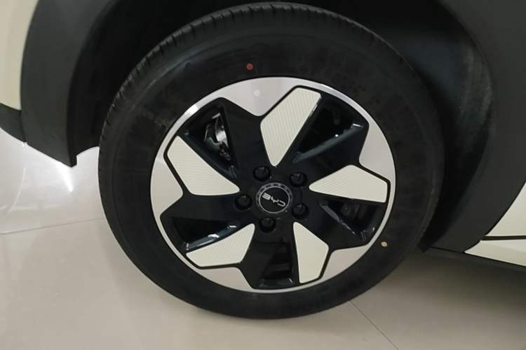 Used BYD Dolphin 2025 420km Free Edition Right Rear Wheel Hub