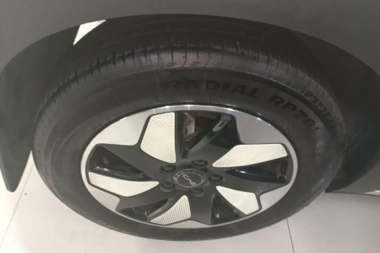 Used BYD Dolphin 2025 420km Free Edition Right Rear Wheel Hub