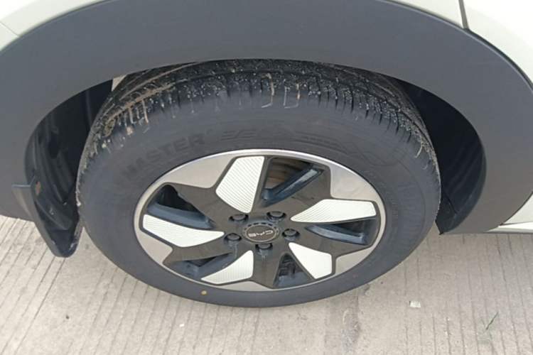Used BYD Dolphin 2025 420km Free Edition Right Rear Wheel Hub