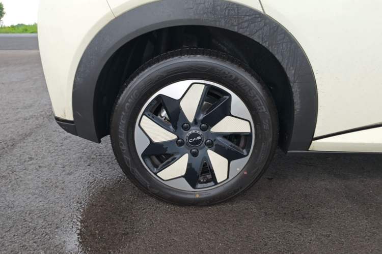 Used BYD Dolphin 2025 420km Free Edition Right Rear Wheel Hub