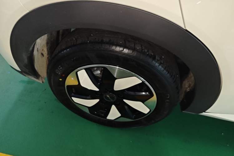Used BYD Dolphin 2025 420km Free Edition Right Rear Wheel Hub