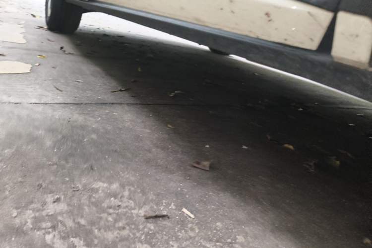 Used BYD Dolphin 2025 420km Free Edition Right Side Sill