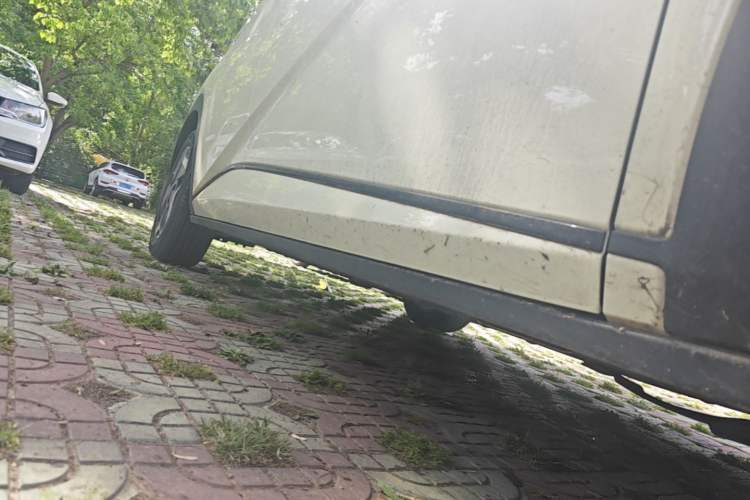 Used BYD Dolphin 2025 Smart Drive Version 420 km Freedom Edition Right Side Sill