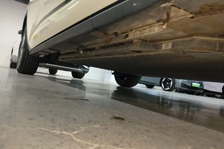Used BYD Dolphin 2025 Smart Drive Version 420 km Freedom Edition Right Side Sill