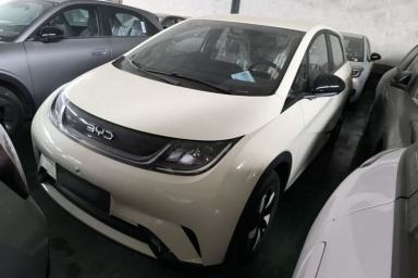 Used BYD Dolphin 2025 420km Free Edition