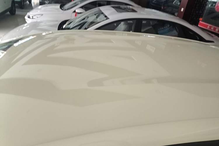Used BYD Dolphin 2025 420km Free Edition Roof