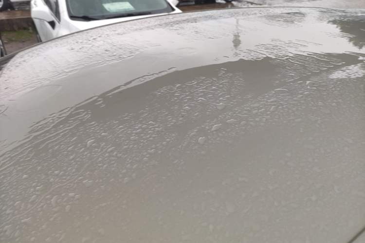 Used BYD Dolphin 2025 420km Free Edition Roof