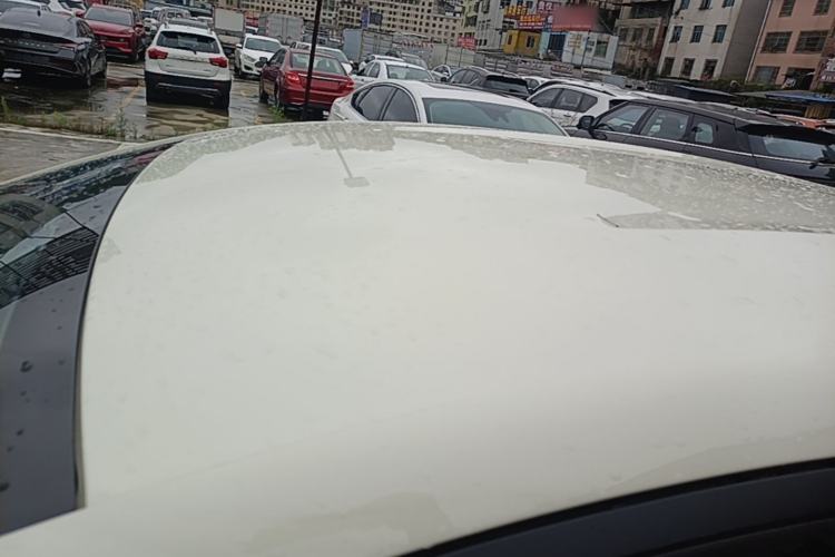 Used BYD Dolphin 2025 520km Range Knight Edition Roof
