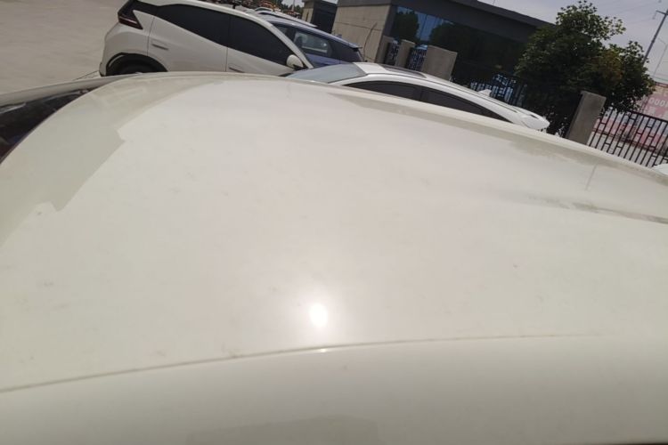 Used BYD Dolphin 2025 420km Free Edition Roof