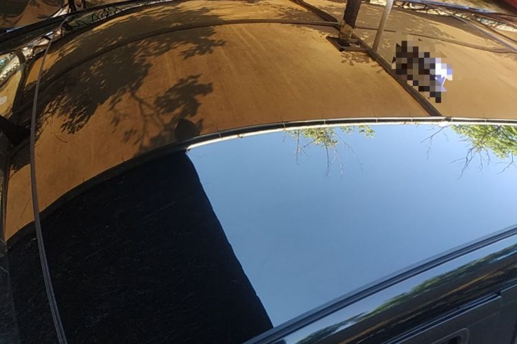 Used BYD Dolphin 2025 420km Fashion Edition Roof