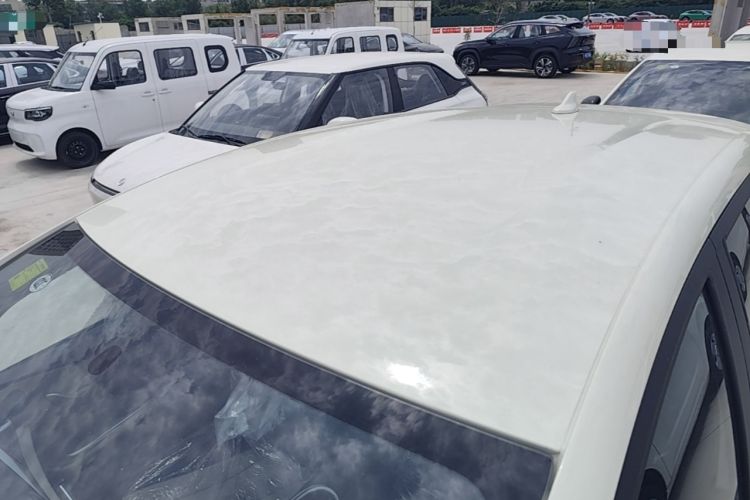Used BYD Dolphin 2025 420km Free Edition Roof