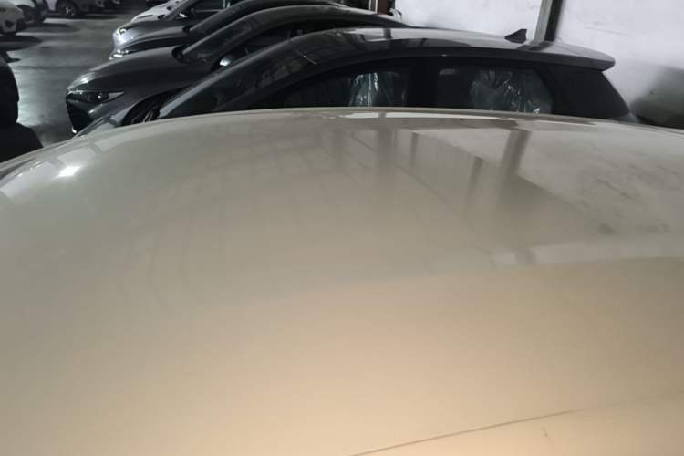 Used BYD Dolphin 2025 420km Free Edition Roof