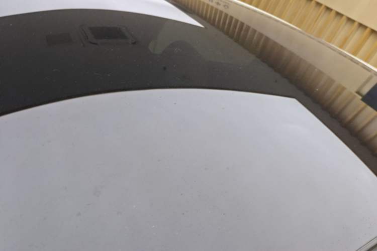Used BYD Dolphin 2025 Intelligent Driving Version 410 km Fashion Edition Roof