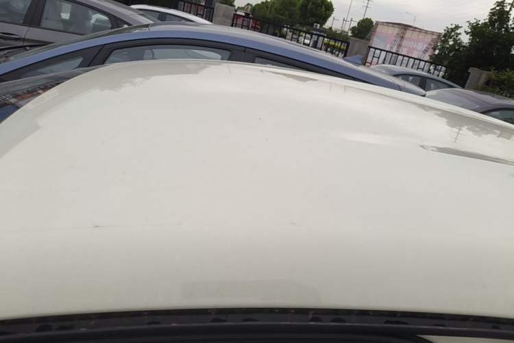 Used BYD Dolphin 2025 420km Free Edition Roof