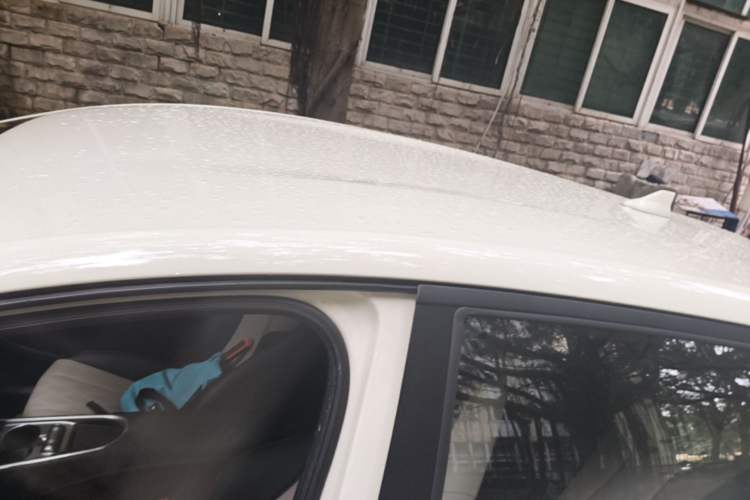 Used BYD Dolphin 2025 420km Free Edition Roof