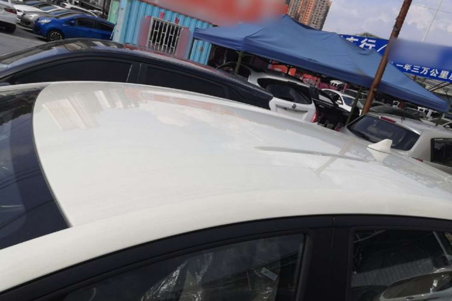 Used BYD Dolphin 2025 420km Free Edition Roof