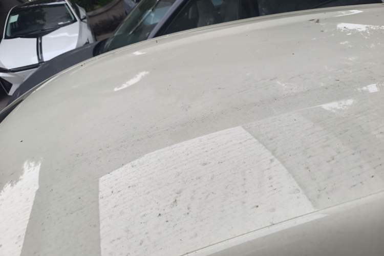 Used BYD Dolphin 2025 420km Free Edition Roof