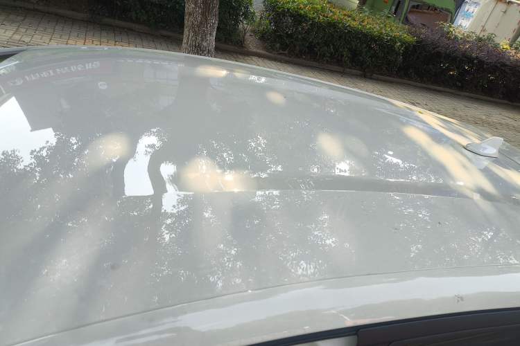 Used BYD Dolphin 2025 420km Free Edition Roof
