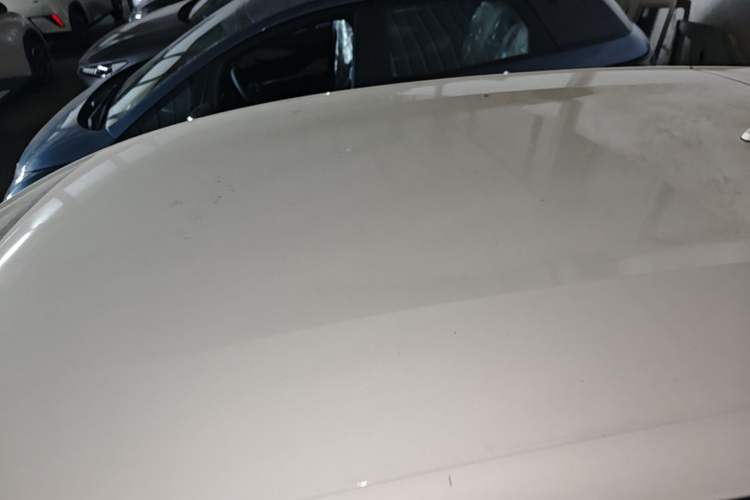 Used BYD Dolphin 2025 420km Free Edition Roof