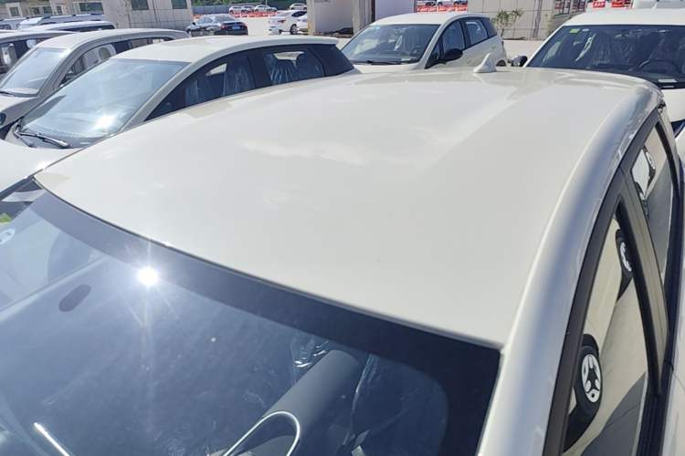Used BYD Dolphin 2025 420km Free Edition Roof