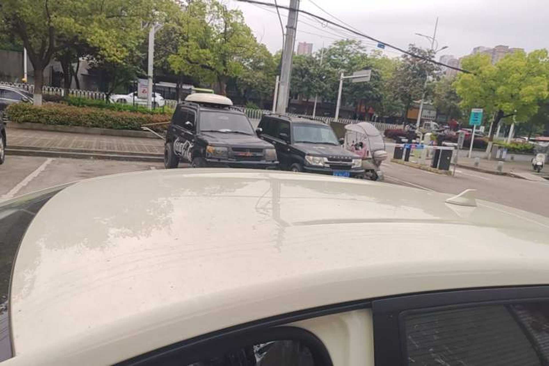 Used BYD Dolphin 2025 420km Free Edition Roof