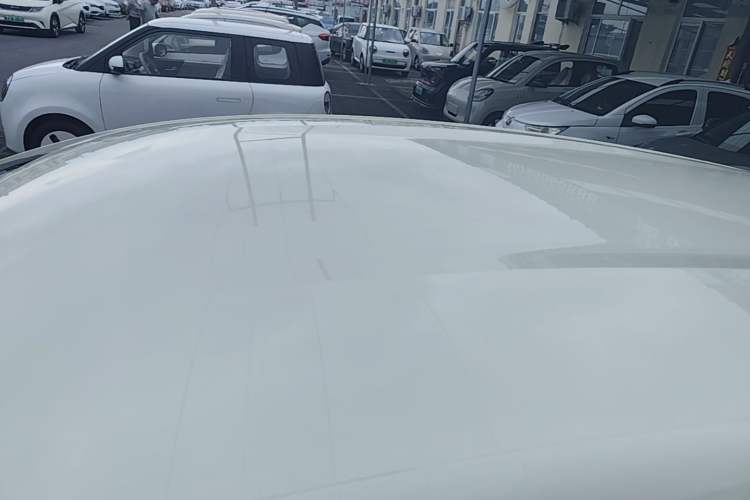 Used BYD Dolphin 2025 420km Free Edition Roof