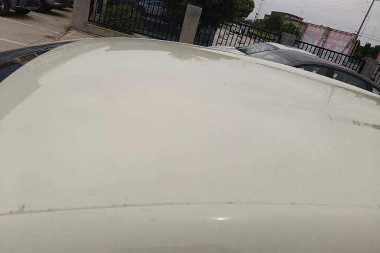 Used BYD Dolphin 2025 420km Free Edition Roof