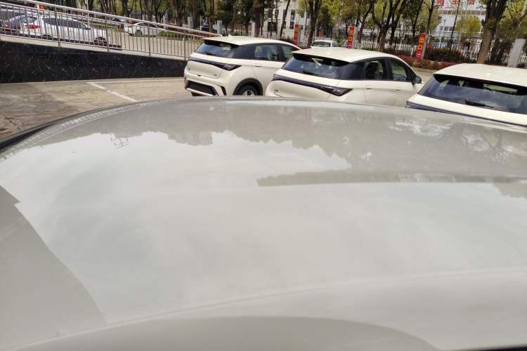 Used BYD Dolphin 2025 420km Free Edition Roof