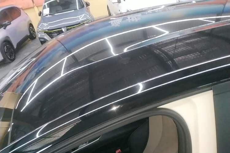 Used BYD Dolphin 2025 420km Free Edition Roof