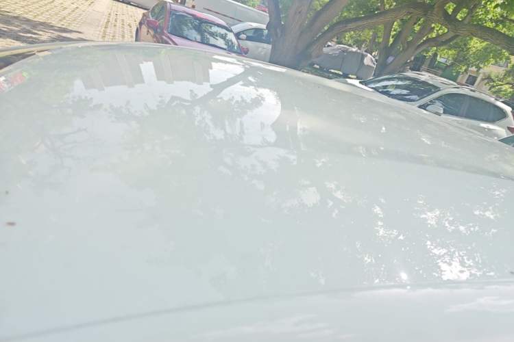 Used BYD Dolphin 2025 Smart Drive Version 420 km Freedom Edition Roof