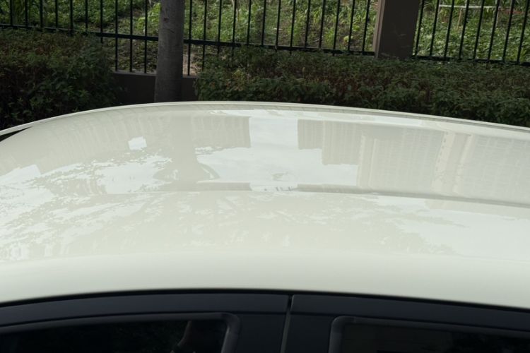 Used BYD Dolphin 2025 420km Free Edition Roof