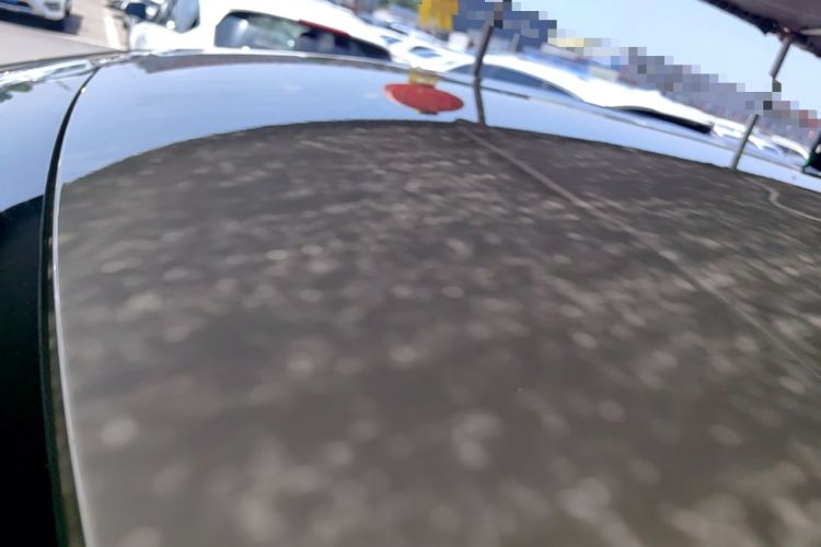 Used BYD Dolphin 2025 420km Free Edition Roof