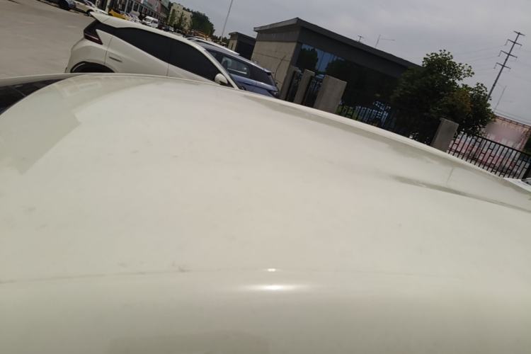Used BYD Dolphin 2025 420km Free Edition Roof