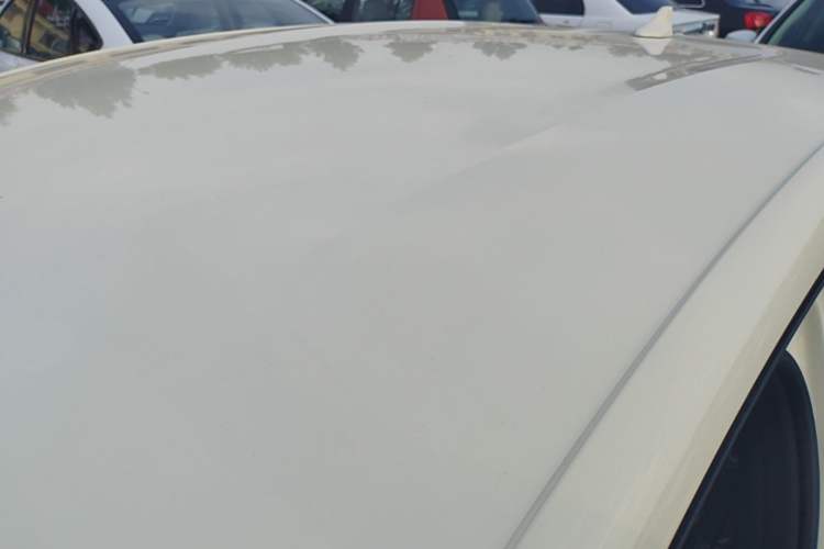 Used BYD Dolphin 2025 420km Free Edition Roof