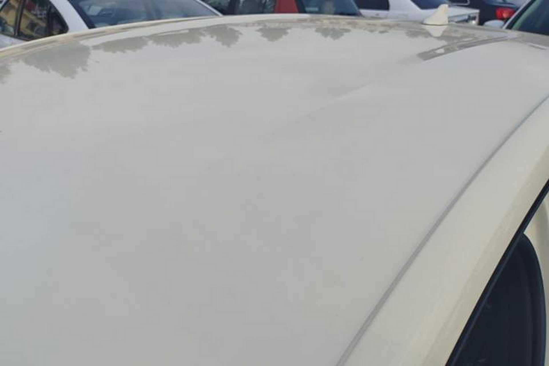 Used BYD Dolphin 2025 420km Free Edition Roof