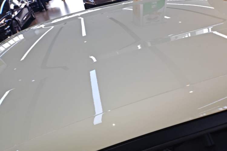 Used BYD Dolphin 2025 420km Free Edition Roof