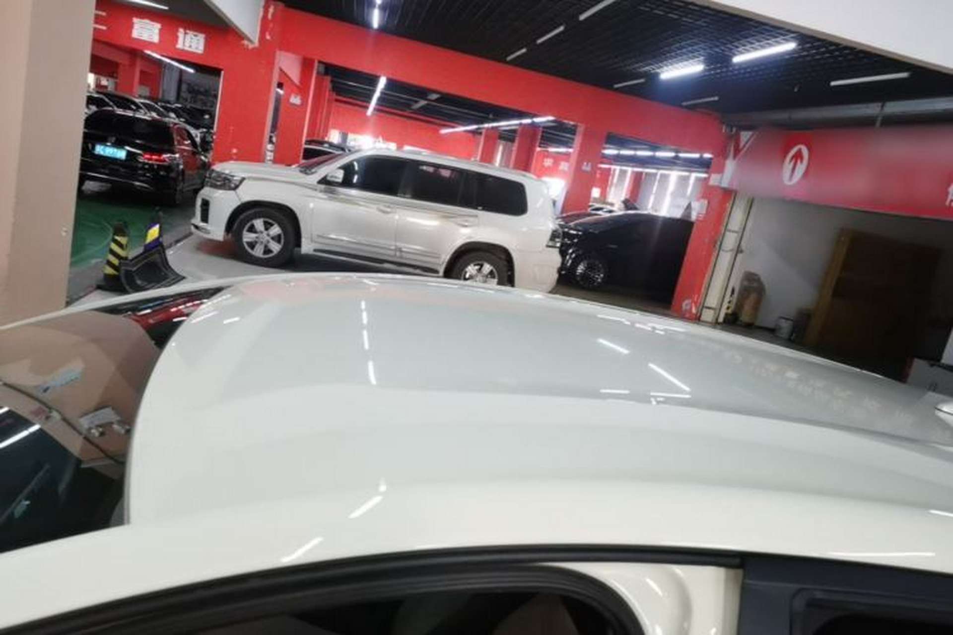 Used BYD Dolphin 2025 420km Free Edition Roof