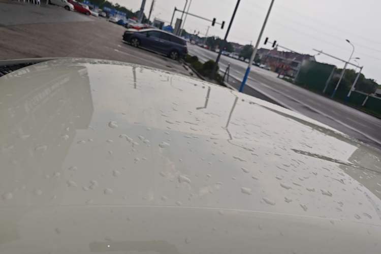Used BYD Dolphin 2025 420km Free Edition Roof