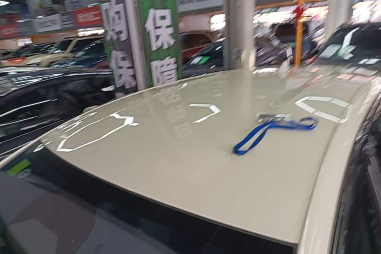 Used BYD Dolphin 2025 Smart Drive Version 420 km Freedom Edition Roof