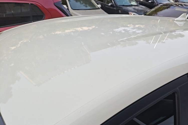 Used BYD Dolphin 2025 420km Free Edition Roof