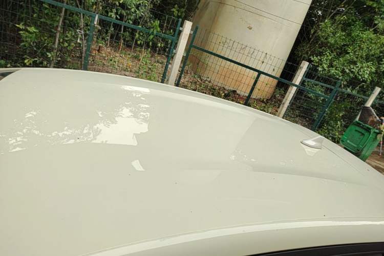 Used BYD Dolphin 2025 Smart Drive Version 420 km Freedom Edition Roof