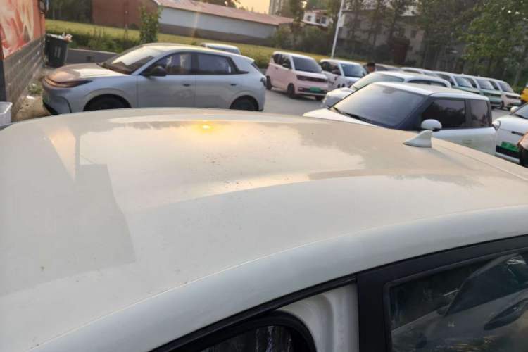 Used BYD Dolphin 2025 420km Free Edition Roof