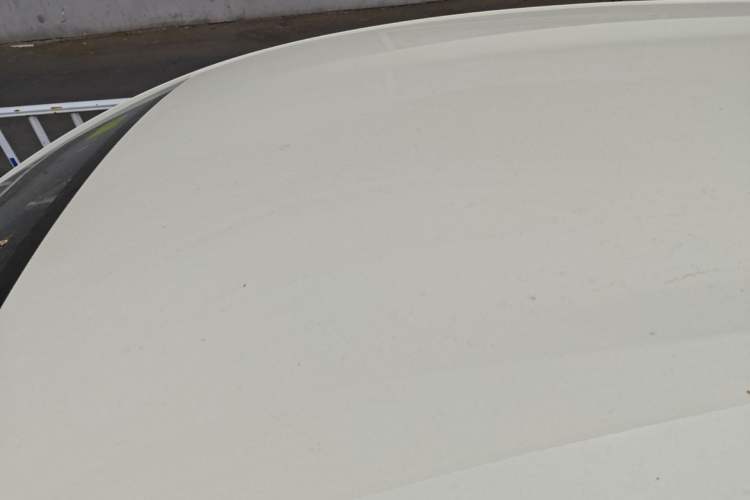 Used BYD Dolphin 2025 420km Free Edition Roof