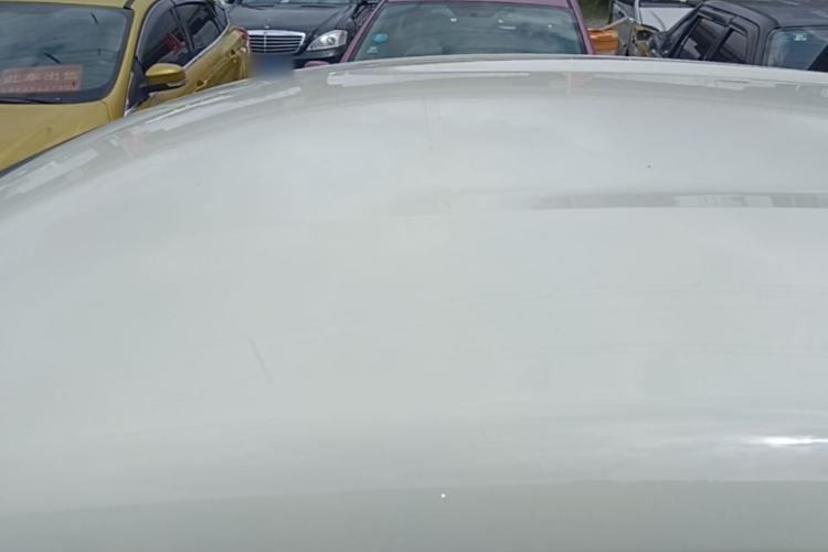 Used BYD Dolphin 2025 420km Free Edition Roof