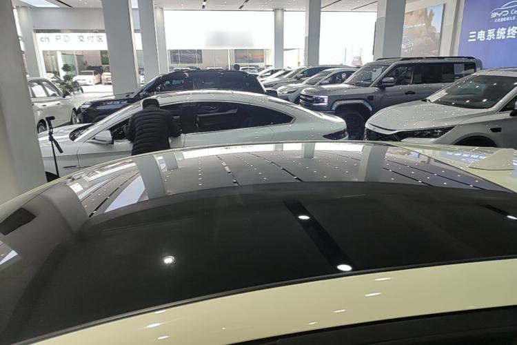 Used BYD Dolphin 2025 Intelligent Driving Version 410 km Fashion Edition Roof