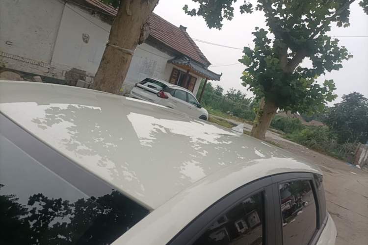 Used BYD Dolphin 2025 420km Free Edition Roof
