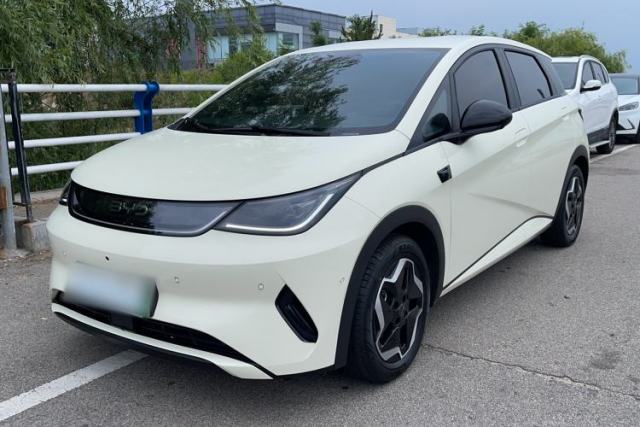 Used BYD Dolphin 2025 Smart Drive Version 420 km Freedom Edition